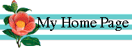  My Home Page 